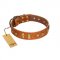 "Sand of Time" FDT Artisan Tan Leather English Bull Terrier Collar with Old Bronze-like Studs and Plates