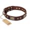 "Loving Owner" FDT Artisan Decorated Leather English Bull Terrier Collar with Plates and Studs