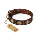 "Golden Square" FDT Artisan Brown Leather English Bull Terrier Collar with Large Squares
