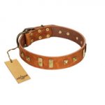 "Sand of Time" FDT Artisan Tan Leather English Bull Terrier Collar with Old Bronze-like Studs and Plates