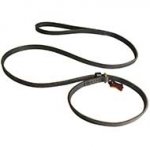 Multifunctional Fast Handling Leather Bull Terrier Leash Choke Collar Combo