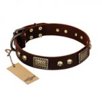 "Magic Amulet" Brown Leather English Bull Terrier Collar with Skulls and Plates