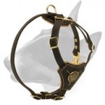 Royal Lightweight Leather Bull Terrier Harness for Walking Puppies