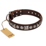"Pierian spring" FDT Artisan Brown Leather English Bull Terrier Collar with Silvery Decorations