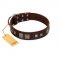 "Object of Virtu" FDT Artisan Brown Leather English Bull Terrier Collar with Old Silver-like Square Studs and Pyramids