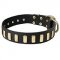 Fashionable Wide Leather Bull Terrier Collar with Brass Plates