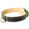 Handmade Padded Leather Bull Terrier Collar