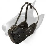 Leather Bull Terrier Muzzle for Attack and Agitation Training
