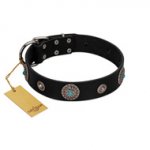 "Blue Gems" FDT Artisan Black Leather English Bull Terrier Collar with Chrome Plated Studs and Conchos