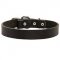 Simple and Elegant Leather Bull Terrier Collar