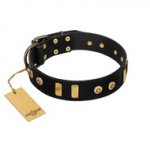 "Rare Dog" FDT Artisan Black Leather English Bull Terrier Collar with Old Bronze-like Dotted Studs and Tiles