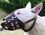 Lightweight Training Leather Bull Terrier Muzzle
