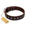"Spring Flower" Stylish FDT Artisan Brown Leather English Bull Terrier Collar for Comfy Walks