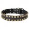 Wide Leather Bull Terrier Collar with Golden Brass Studs
