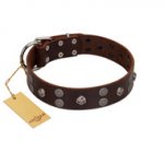 "Skull Valley" Handcrafted FDT Artisan Brown Leather English Bull Terrier Collar with Skulls