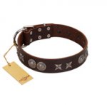 "Antique Style" Designer Handmade FDT Artisan Brown Leather English Bull Terrier Collar