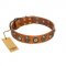 "Golden Epoch" FDT Artisan Tan Leather English Bull Terrier Collar with Old Bronze-plated Medallions and Conchos