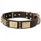 Leather Bull Terrier Collar with Metal Plates and Spikes