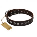 "Stars of Glory" FDT Artisan Brown Leather English Bull Terrier Collar for Comfortable Walking