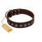 "Starry-Eyed" Best Quality FDT Artisan Brown Designer Leather English Bull Terrier Collar with Small Plates