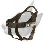 Lightweight Nylon Bull Terrier Harness for Training