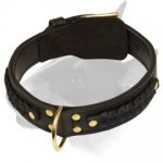 Braided Design Leather Bull Terrier Collar