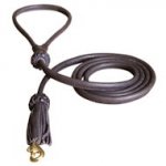 Handmade Leather Bull Terrier Leash for Walking and Tracking