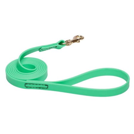 Green Waterproof English Bull Terrier Leash Made of Biothane