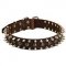 Leather Bull Terrier Collar with Brass Studs and Nickel Spikes