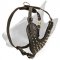 Adjustable Designer Spiked Leather Bull Terrier Harness