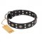 "Refined Essence" FDT Artisan Black Leather English Bull Terrier Collar with Silvery Studs