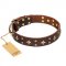 'High Fashion' FDT Artisan Embellished Brown Leather English Bull Terrier Collar