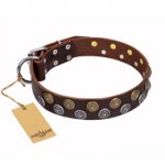 'Strong Shields' Designer FDT Artisan Brown Leather English Bull Terrier Collar with Handset Decor