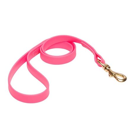 Pink Waterproof English Bull Terrier Leash Made of Biothane