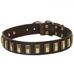 Remarkable Design Leather Bull Terrier Collar with Brass Plates