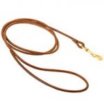 Slim Round Leather Bull Terrier Leash