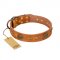"Sun Beams" FDT Artisan Tan Leather English Bull Terrier Collar with Decorations