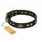 "Perfect Tracery" FDT Artisan Black Leather English Bull Terrier Collar with Old Bronze Look Plates and Circles