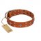 "Tawny Beauty" FDT Artisan Tan Leather English Bull Terrier Collar Adorned with Stars and Tiny Squares