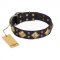 "Fancy-Schmancy" FDT Artisan Studded Leather English Bull Terrier Collar