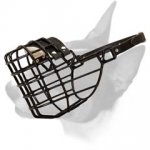 Rubber Covered Wire Cage Bull Terrier Muzzle for Winter
