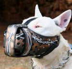 Designer Leather Bull Terrier Muzzle with Barbed Wire Painting