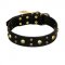 FDT Artisan 'Heavy Metal' Leather English Bull Terrier Collar with Skulls and Studs 1 1/2 inch (40 mm)