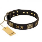 "Passion for Style and Beauty" FDT Artisan Decorated Black Leather English Bull Terrier Collar