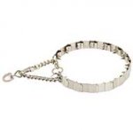 English Bull Terrier Dog Training Neck Tech Prong Collar of Stainless Steel