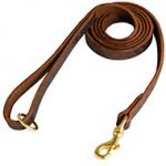 Stitched Leather Bull Terrier Leash for Everyday Use