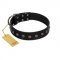 "Flower Rhapsody" FDT Artisan Premium Quaulity Black Leather English Bull Terrier Collar