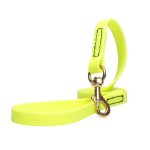 Yellow Waterproof English Bull Terrier Leash Made of Biothane