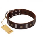 "War Chief" FDT Artisan Genuine Brown Leather English Bull Terrier Collar with Skulls and Plates