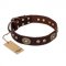 "Breath of Elegance" FDT Artisan Decorated with Plates Brown Leather English Bull Terrier Collar
